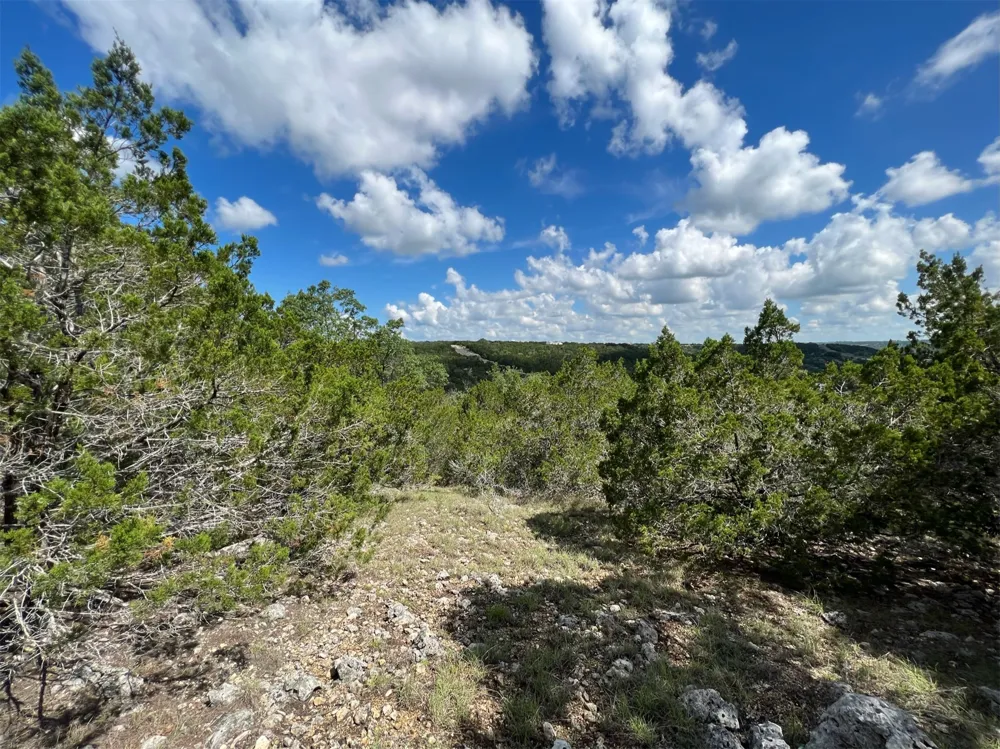 176 Suncrest Trail Bertram, TX 78605
