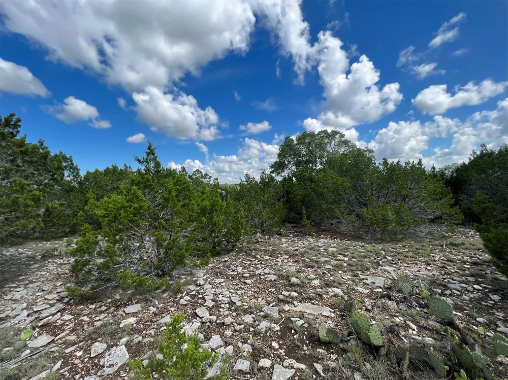 176 Suncrest Trail Bertram, TX 78605