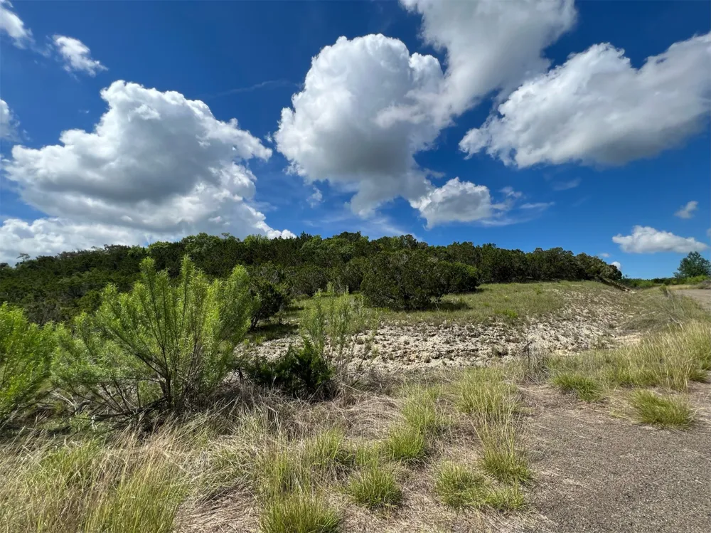 176 Suncrest Trail Bertram, TX 78605