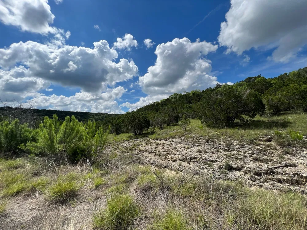 176 Suncrest Trail Bertram, TX 78605