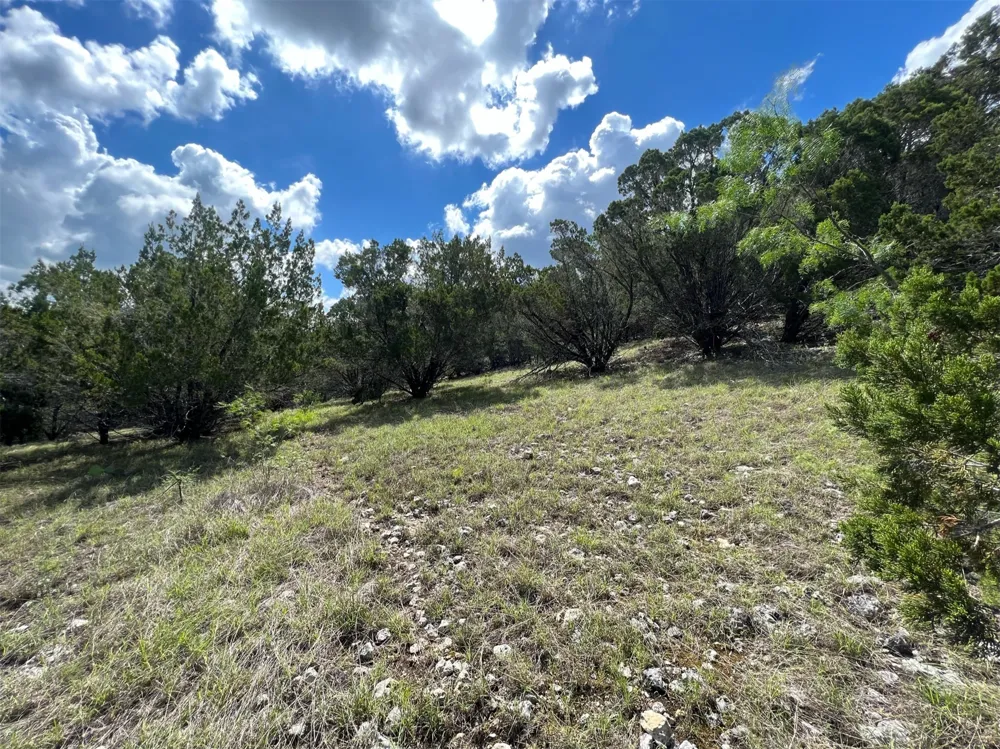 176 Suncrest Trail Bertram, TX 78605