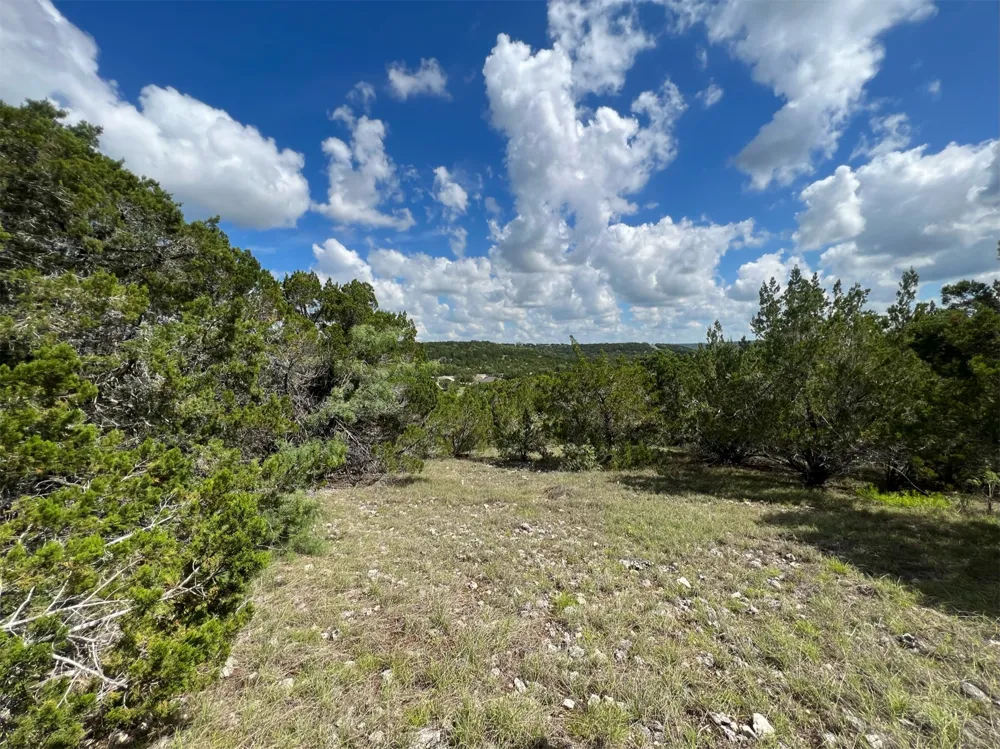 176 Suncrest Trail Bertram, TX 78605