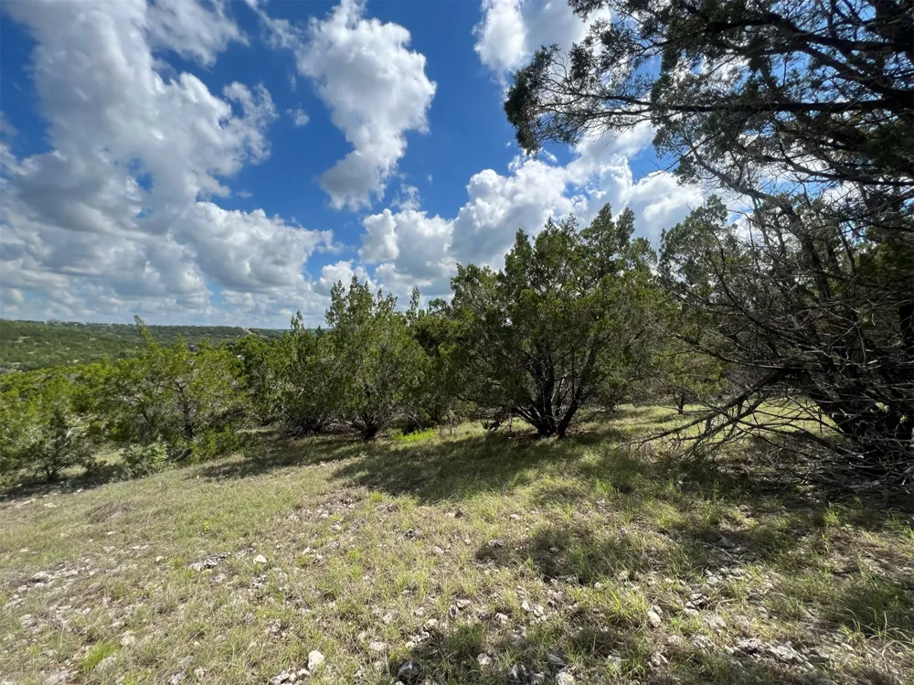 176 Suncrest Trail Bertram, TX 78605