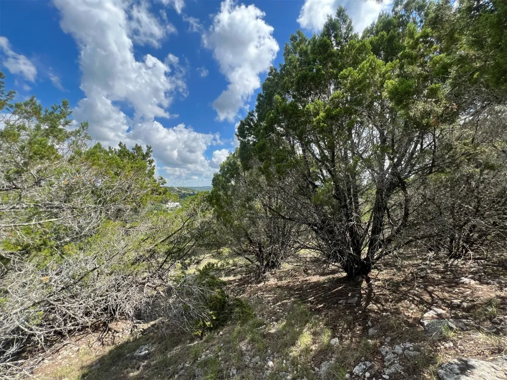 176 Suncrest Trail Bertram, TX 78605