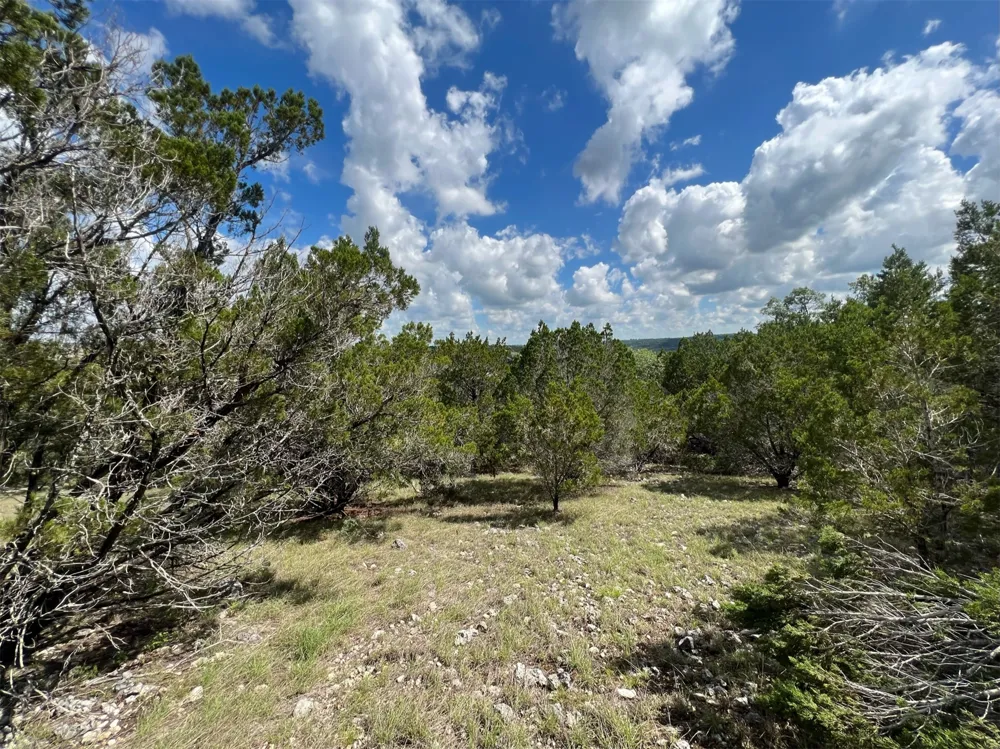 176 Suncrest Trail Bertram, TX 78605