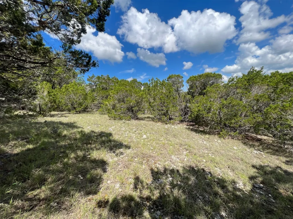 176 Suncrest Trail Bertram, TX 78605