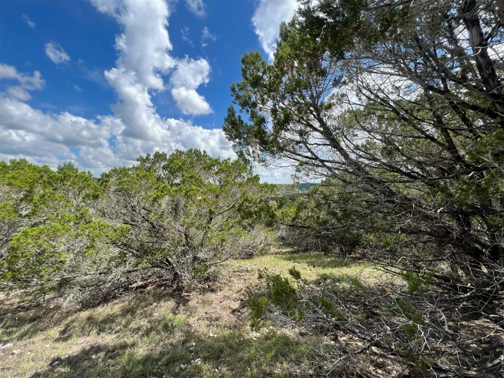 176 Suncrest Trail Bertram, TX 78605