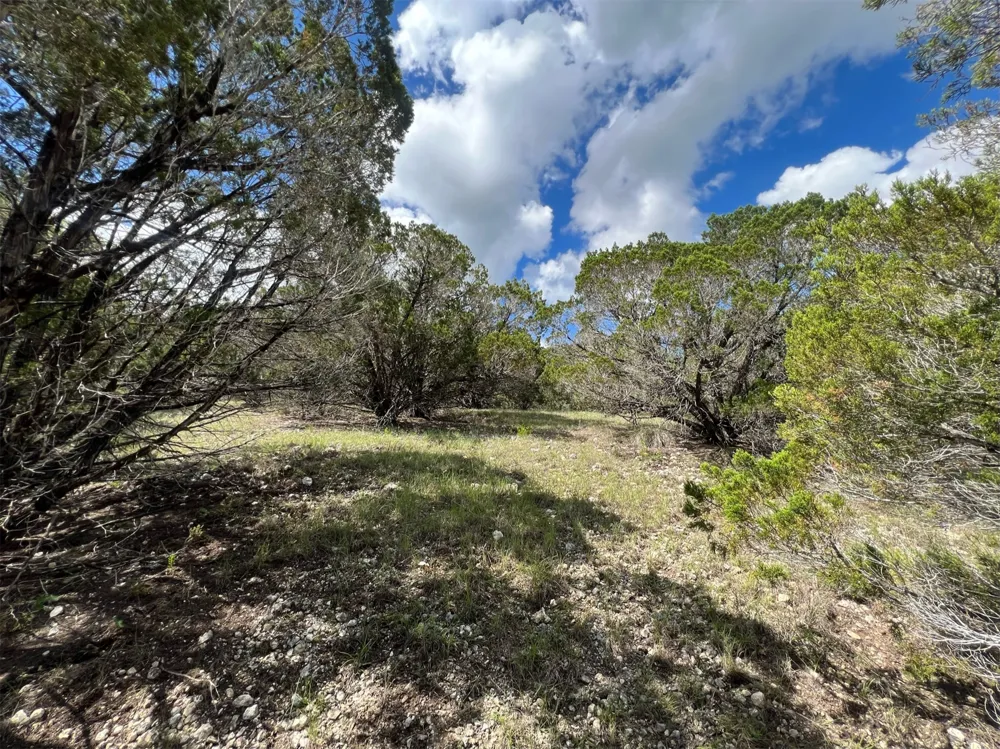 176 Suncrest Trail Bertram, TX 78605
