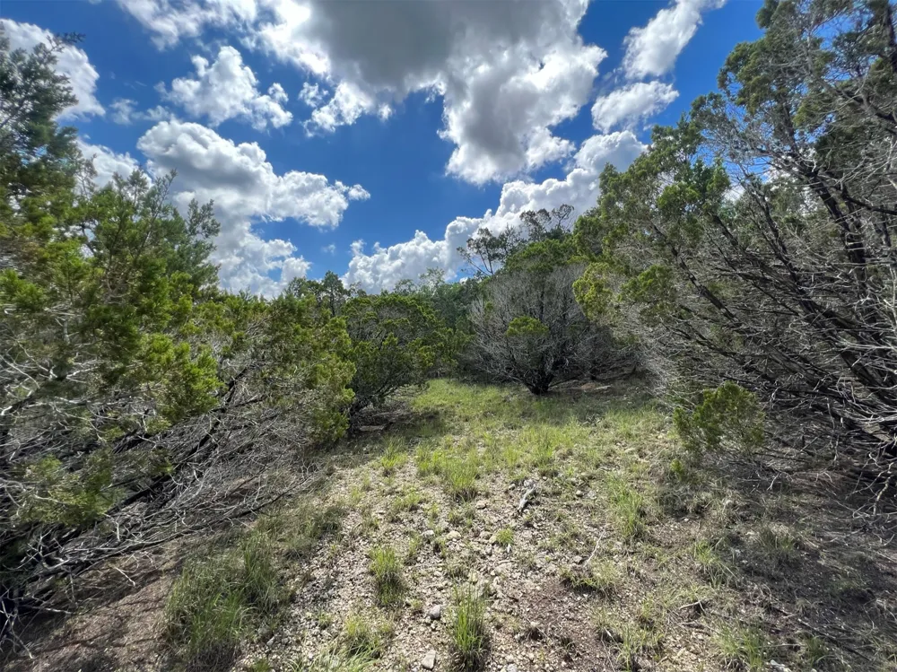 176 Suncrest Trail Bertram, TX 78605