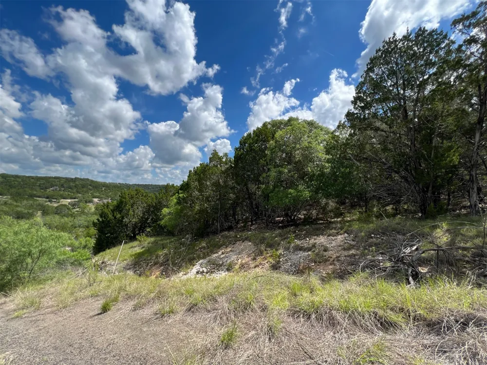 176 Suncrest Trail Bertram, TX 78605