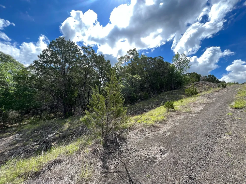 176 Suncrest Trail Bertram, TX 78605