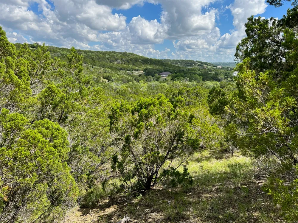 183 Suncrest Trail Bertram, TX 78605