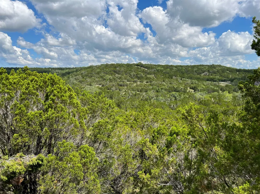 183 Suncrest Trail Bertram, TX 78605