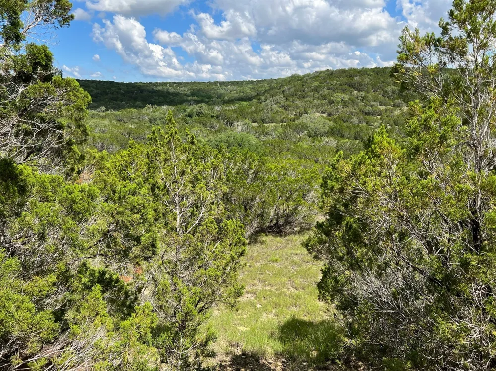 183 Suncrest Trail Bertram, TX 78605