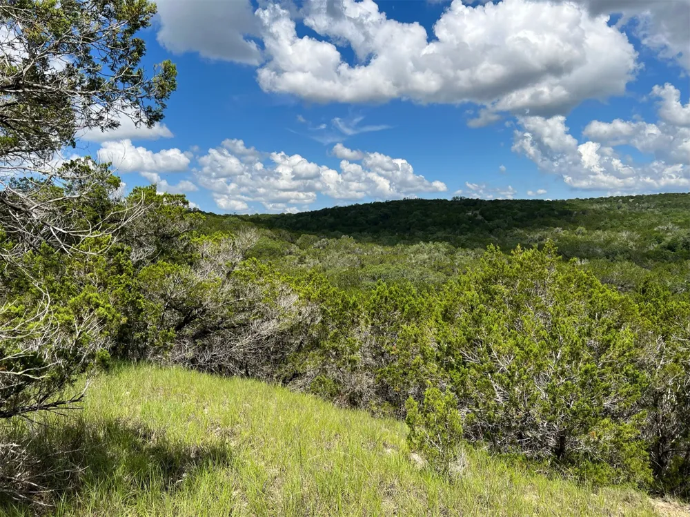 183 Suncrest Trail Bertram, TX 78605