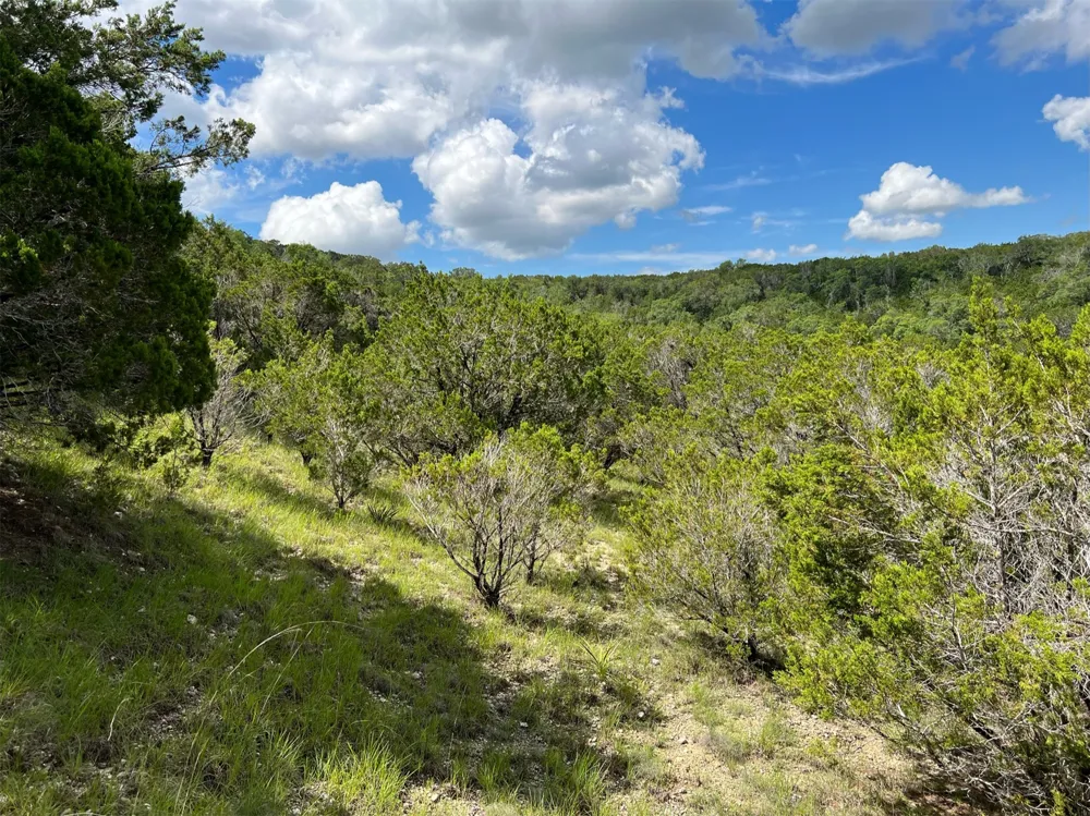 183 Suncrest Trail Bertram, TX 78605