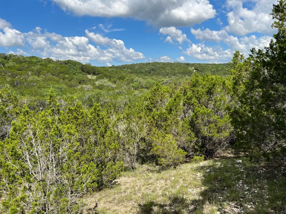 183 Suncrest Trail Bertram, TX 78605
