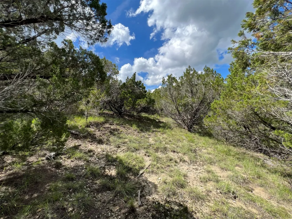 183 Suncrest Trail Bertram, TX 78605