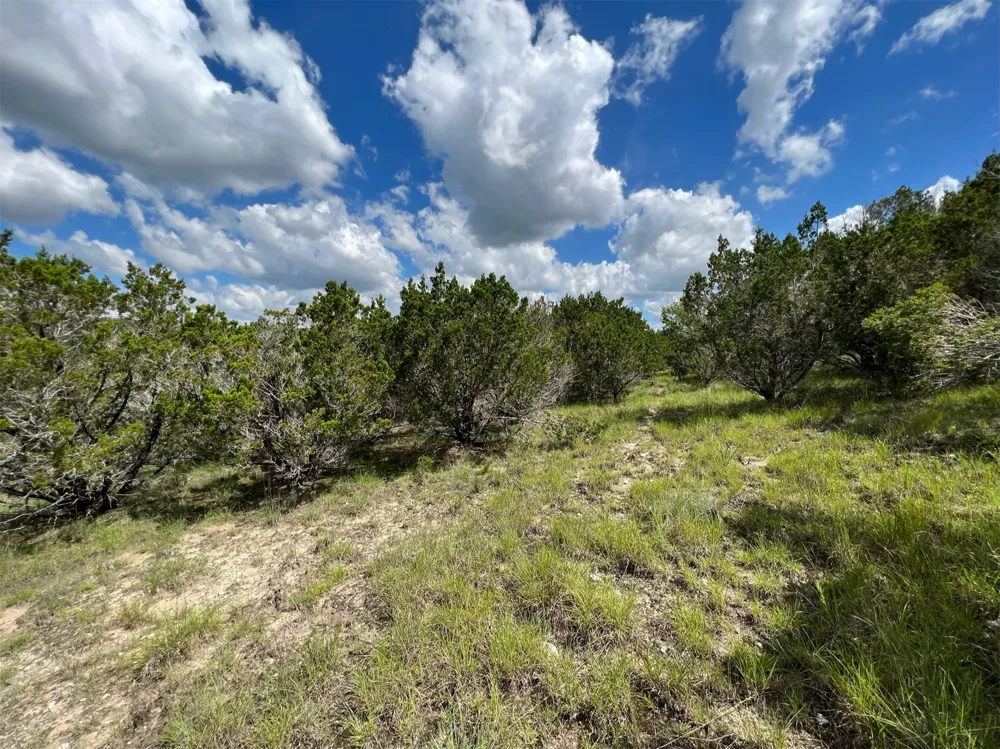 183 Suncrest Trail Bertram, TX 78605