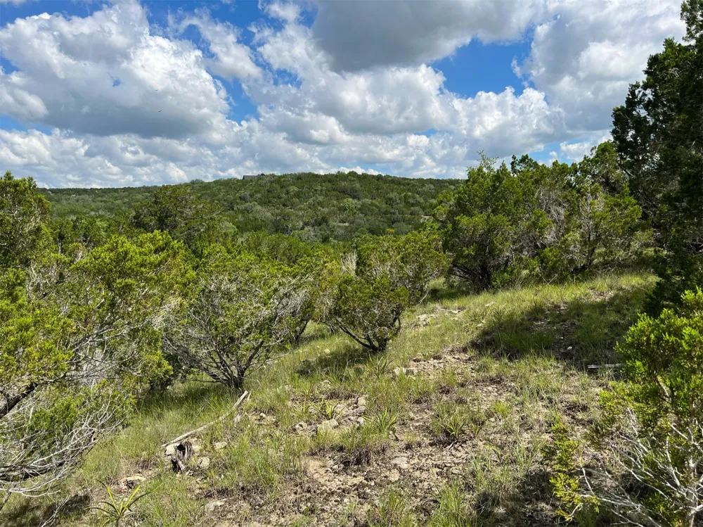 183 Suncrest Trail Bertram, TX 78605