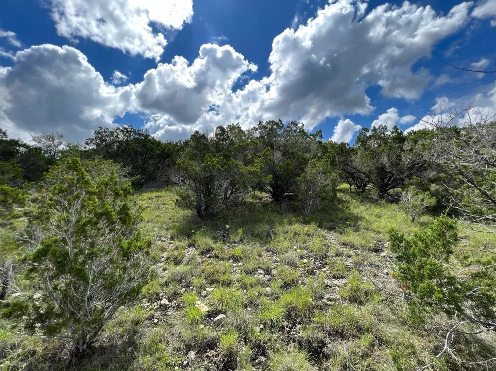 183 Suncrest Trail Bertram, TX 78605