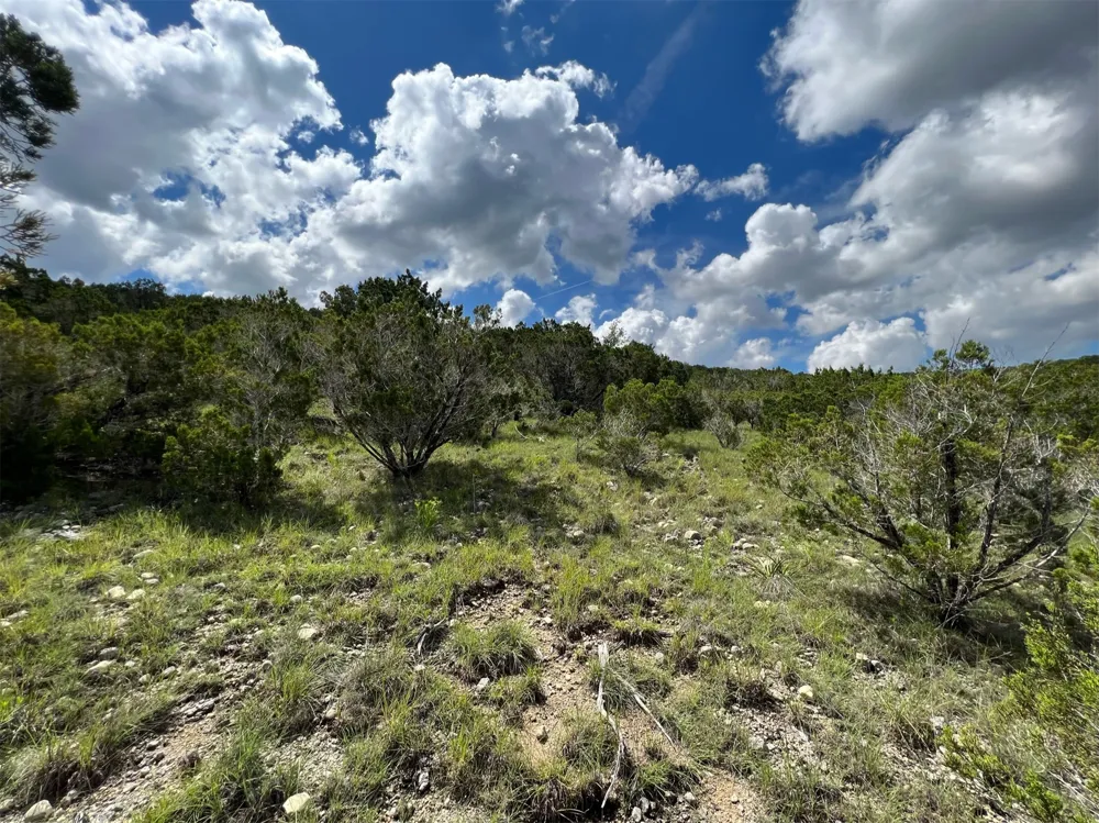 183 Suncrest Trail Bertram, TX 78605