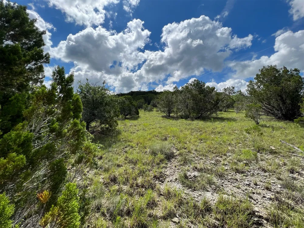 183 Suncrest Trail Bertram, TX 78605