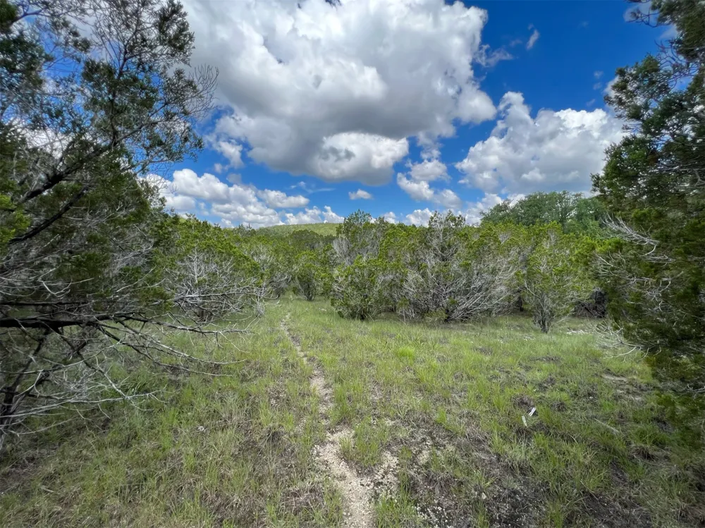 183 Suncrest Trail Bertram, TX 78605