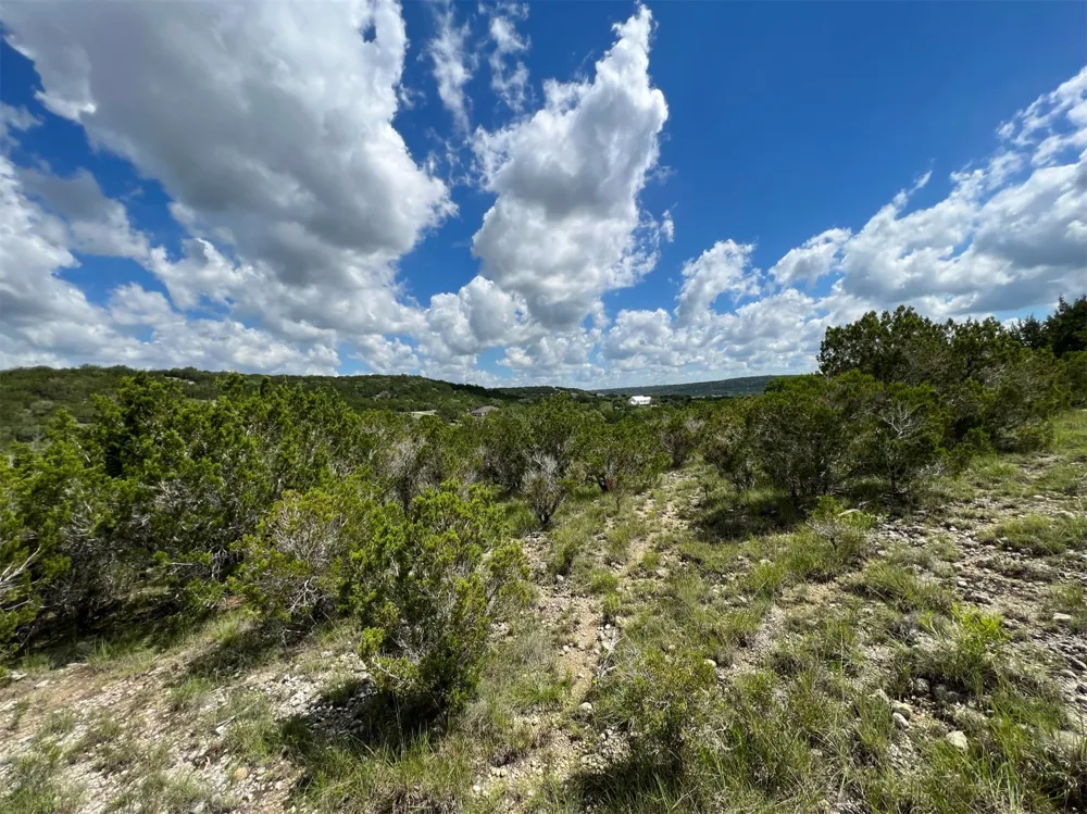 183 Suncrest Trail Bertram, TX 78605