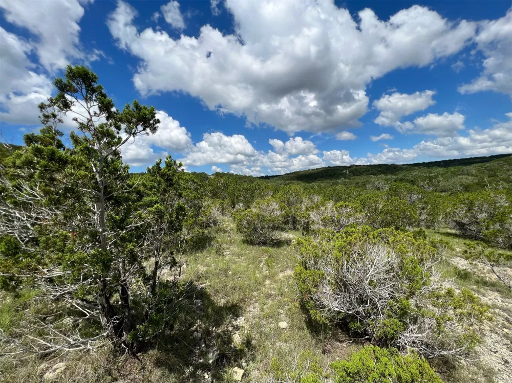 183 Suncrest Trail Bertram, TX 78605