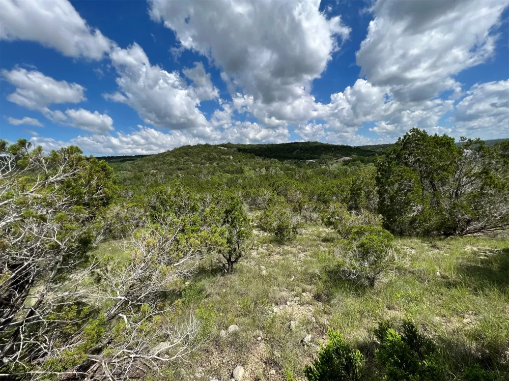 183 Suncrest Trail Bertram, TX 78605