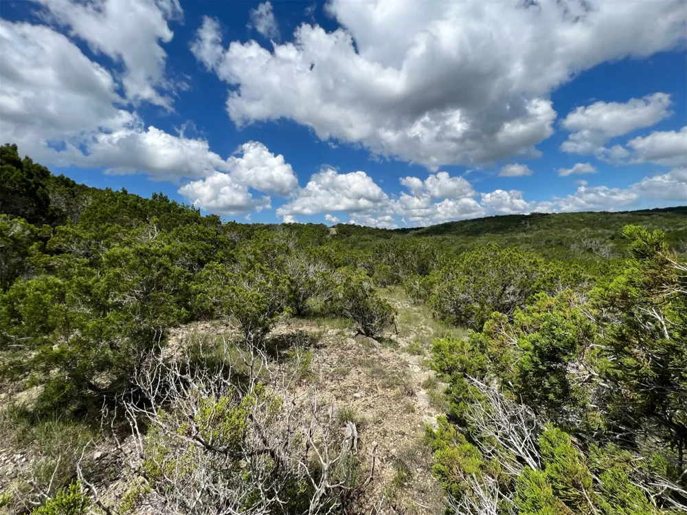 183 Suncrest Trail Bertram, TX 78605