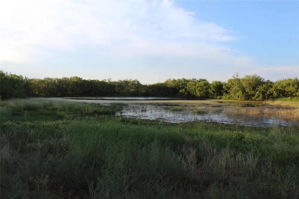 144000 TX Hwy 208 Robert Lee, TX 76945
