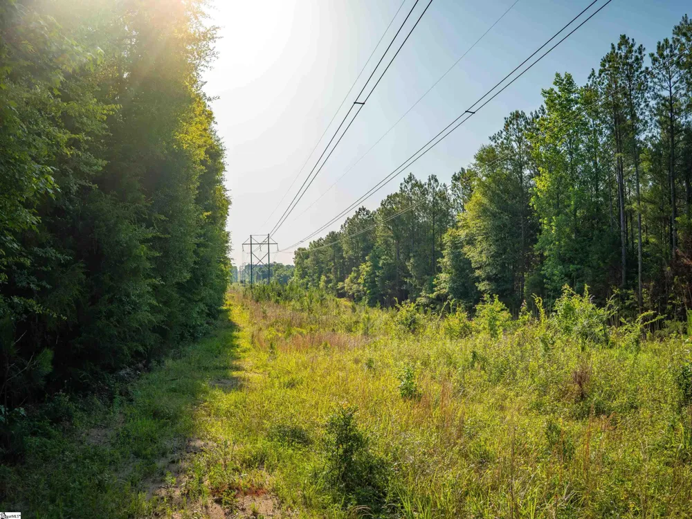 1332 Arnold Lane Waterloo, SC 29384