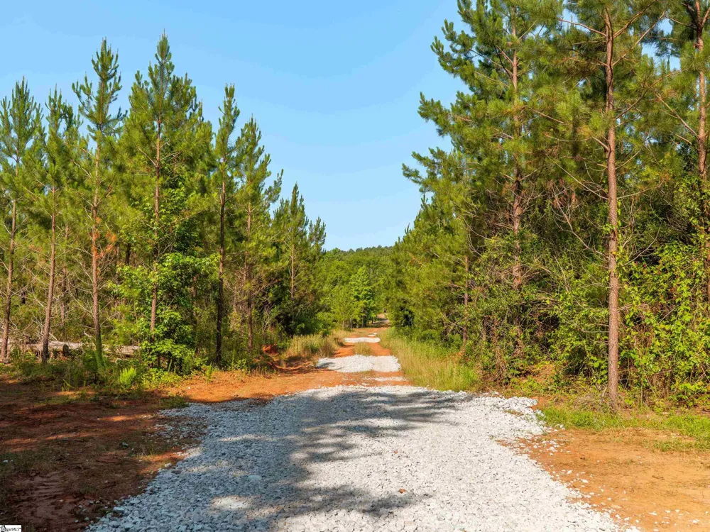 1332 Arnold Lane Waterloo, SC 29384