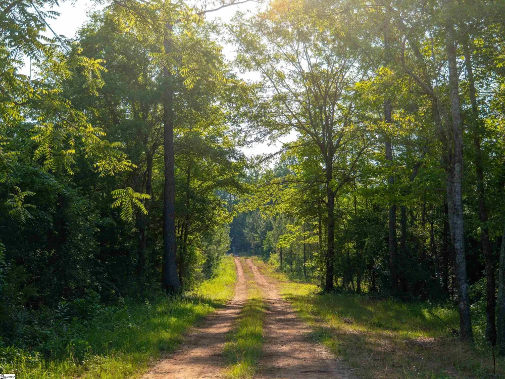 1332 Arnold Lane Waterloo, SC 29384
