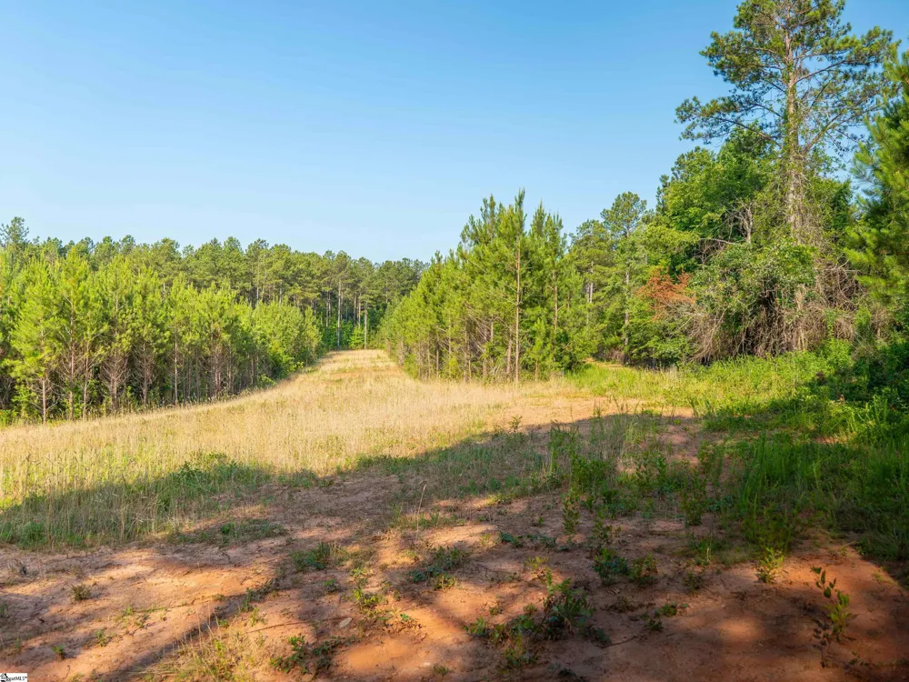 1332 Arnold Lane Waterloo, SC 29384