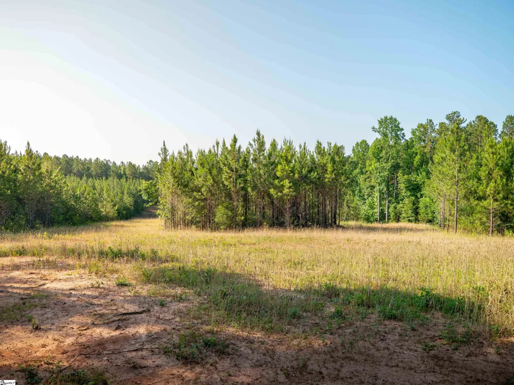 1332 Arnold Lane Waterloo, SC 29384