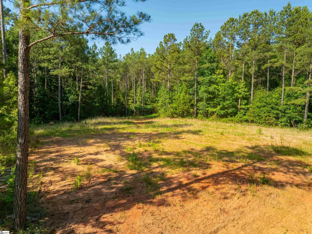 1332 Arnold Lane Waterloo, SC 29384