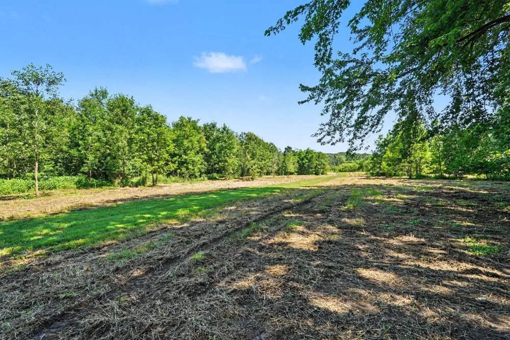 11645 W Bluewater Highway Lowell, MI 49331
