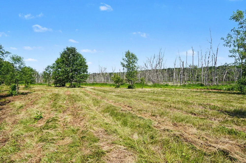 11645 W Bluewater Highway Lowell, MI 49331