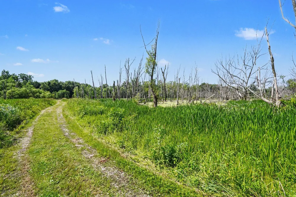 11645 W Bluewater Highway Lowell, MI 49331