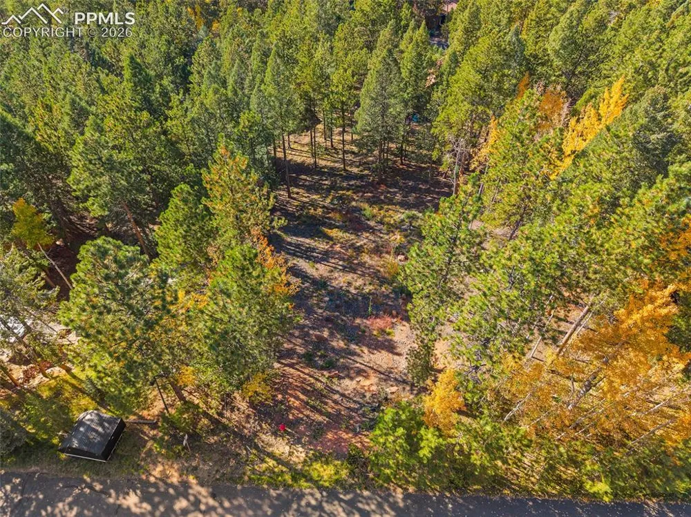 1320 Forest Edge Road Woodland Park, CO 80863
