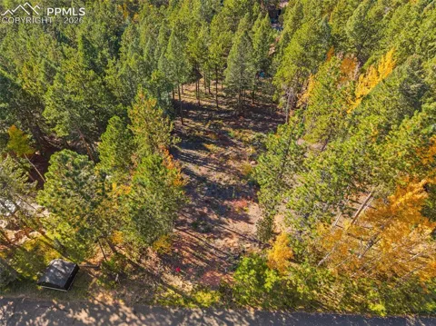 1320 Forest Edge Road