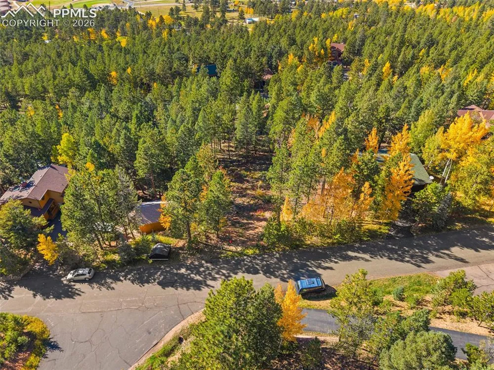1320 Forest Edge Road Woodland Park, CO 80863