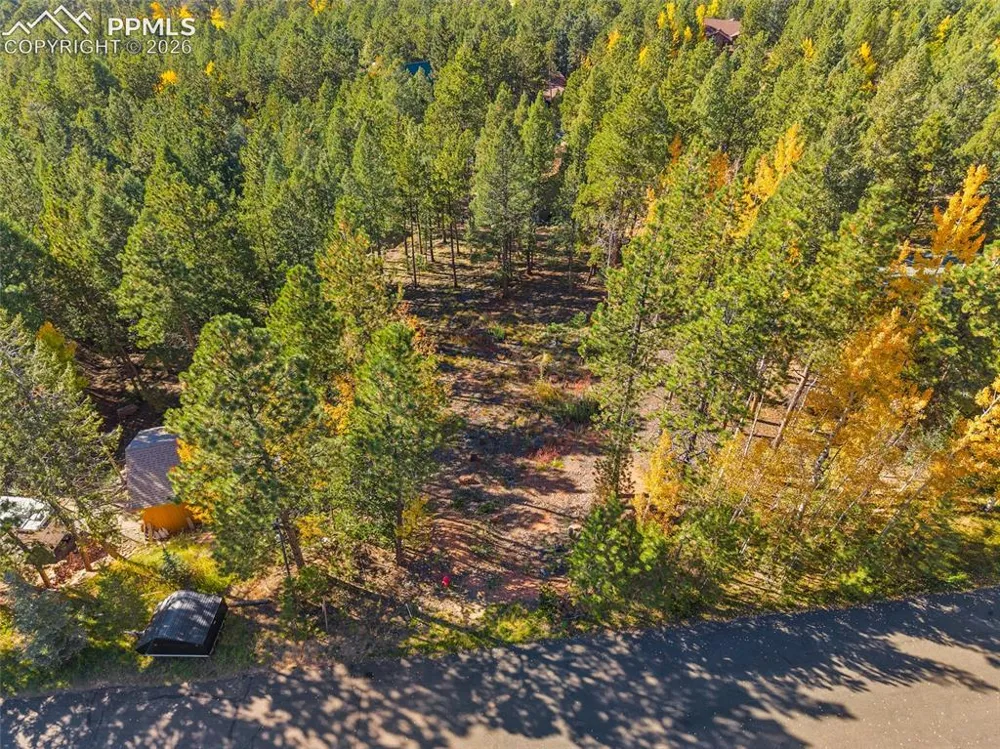 1320 Forest Edge Road Woodland Park, CO 80863
