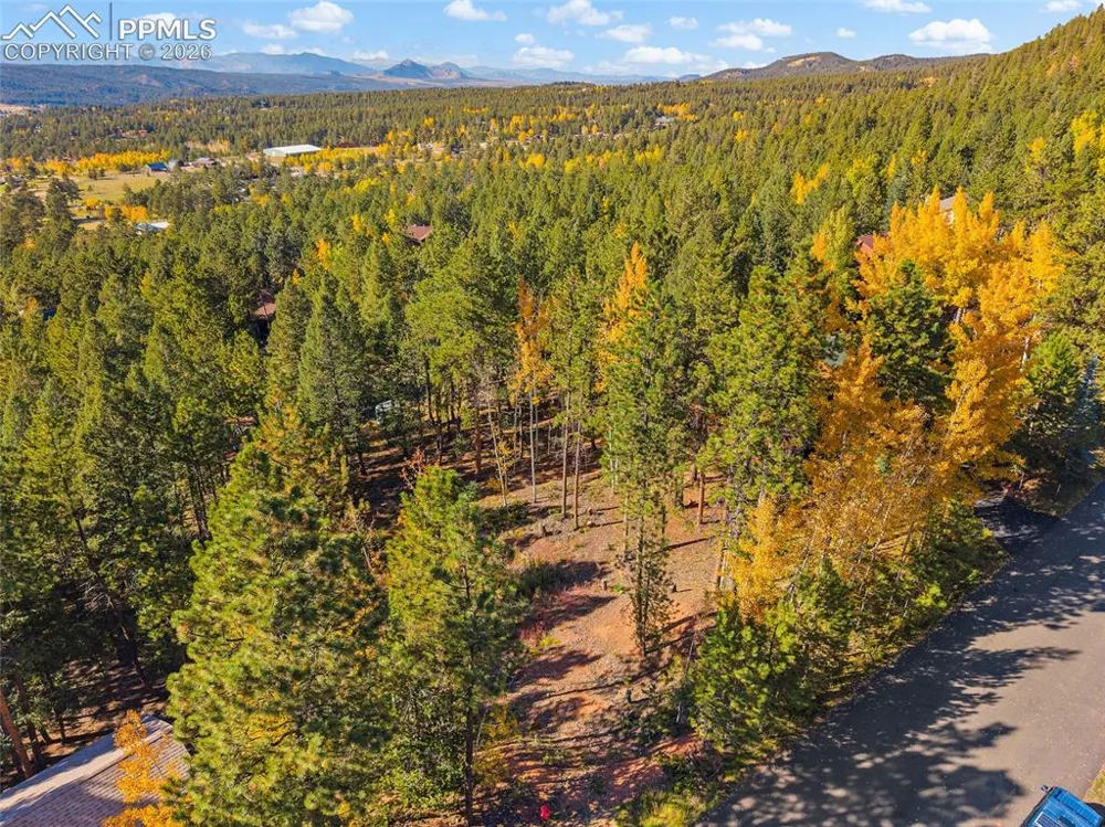 1320 Forest Edge Road Woodland Park, CO 80863