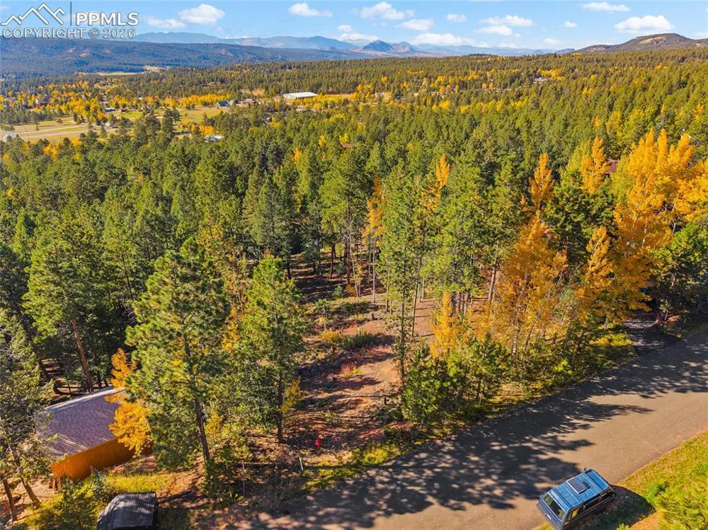1320 Forest Edge Road Woodland Park, CO 80863