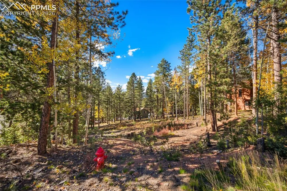 1320 Forest Edge Road Woodland Park, CO 80863