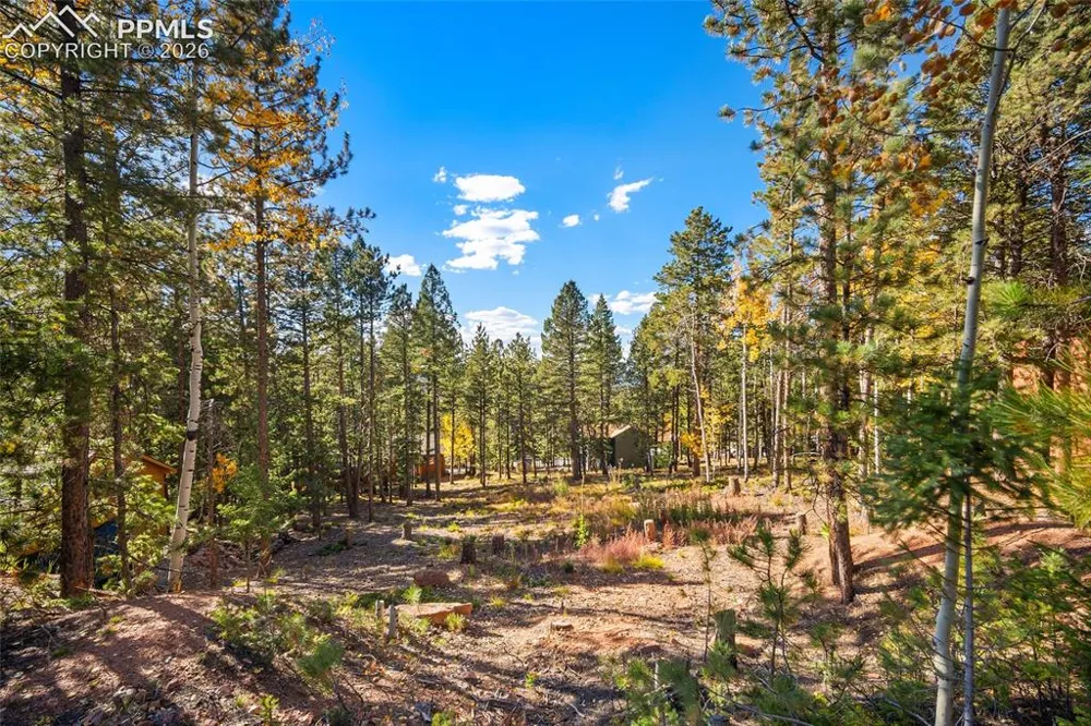 1320 Forest Edge Road Woodland Park, CO 80863